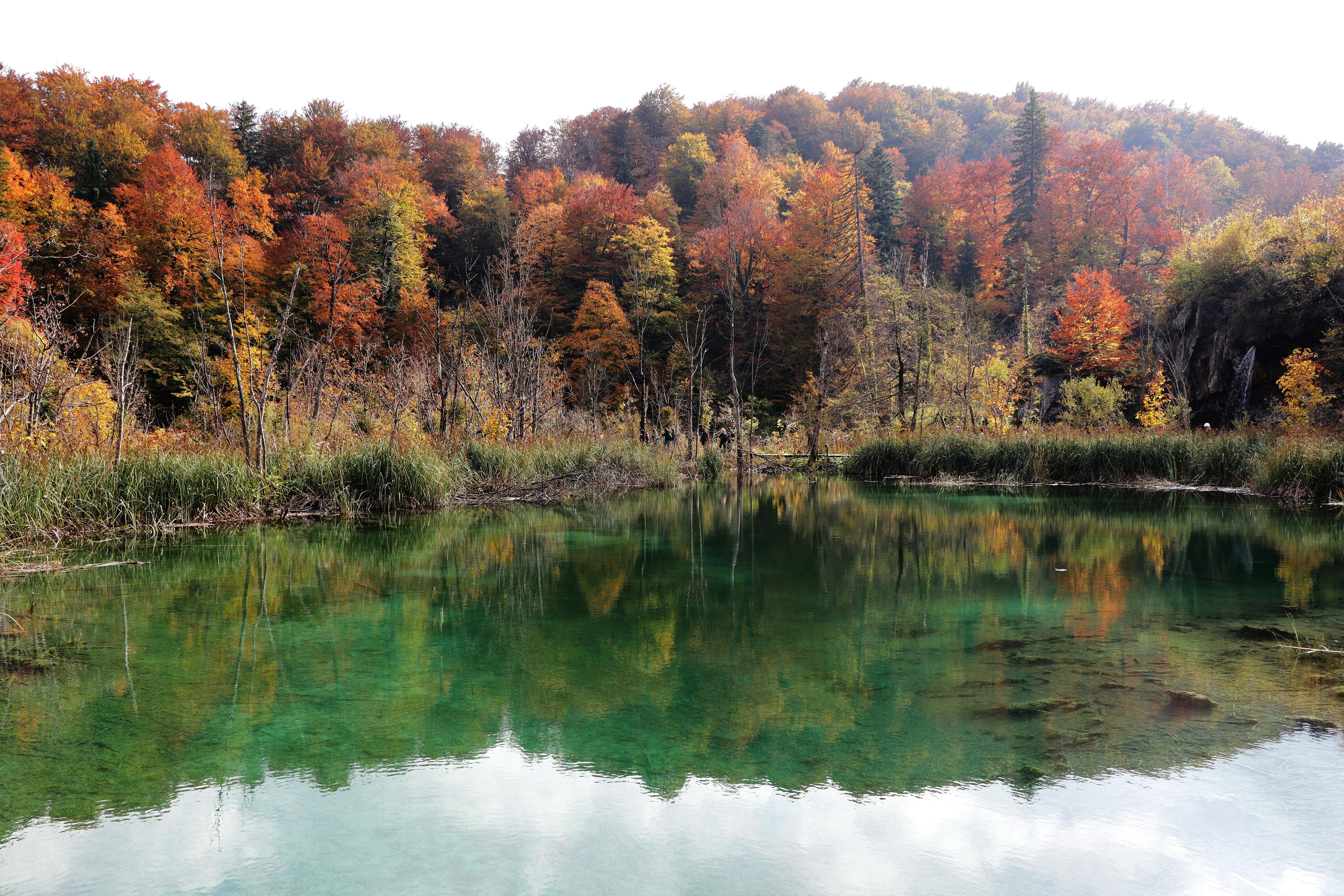 阿里吴嘉：千问进入夸克AI眼镜，融合支付宝、高德等生态 - 图片1