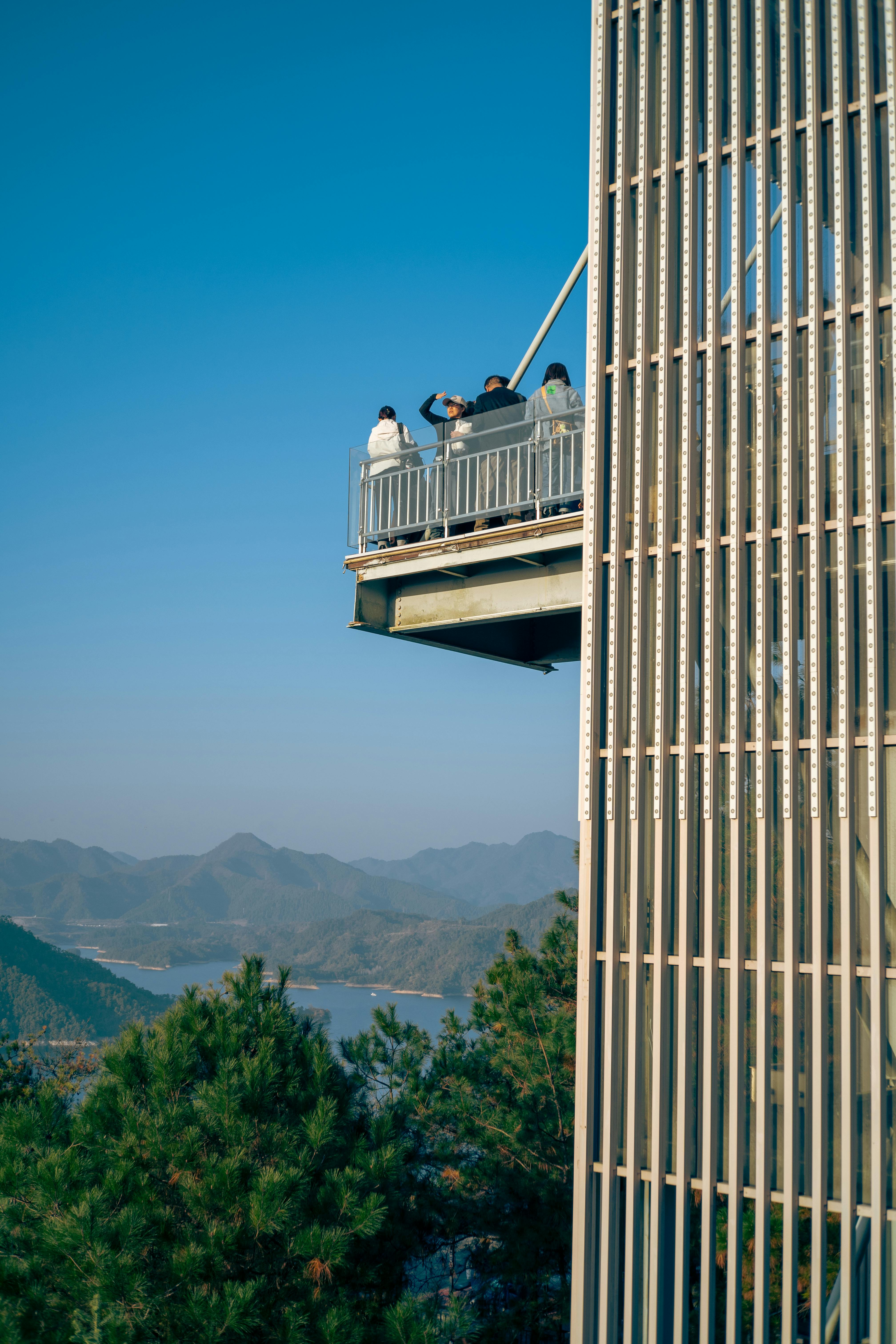 四川达州:小鹦鹉“飞”出新赛道 特色养殖“孵”出致富路 - 图片1