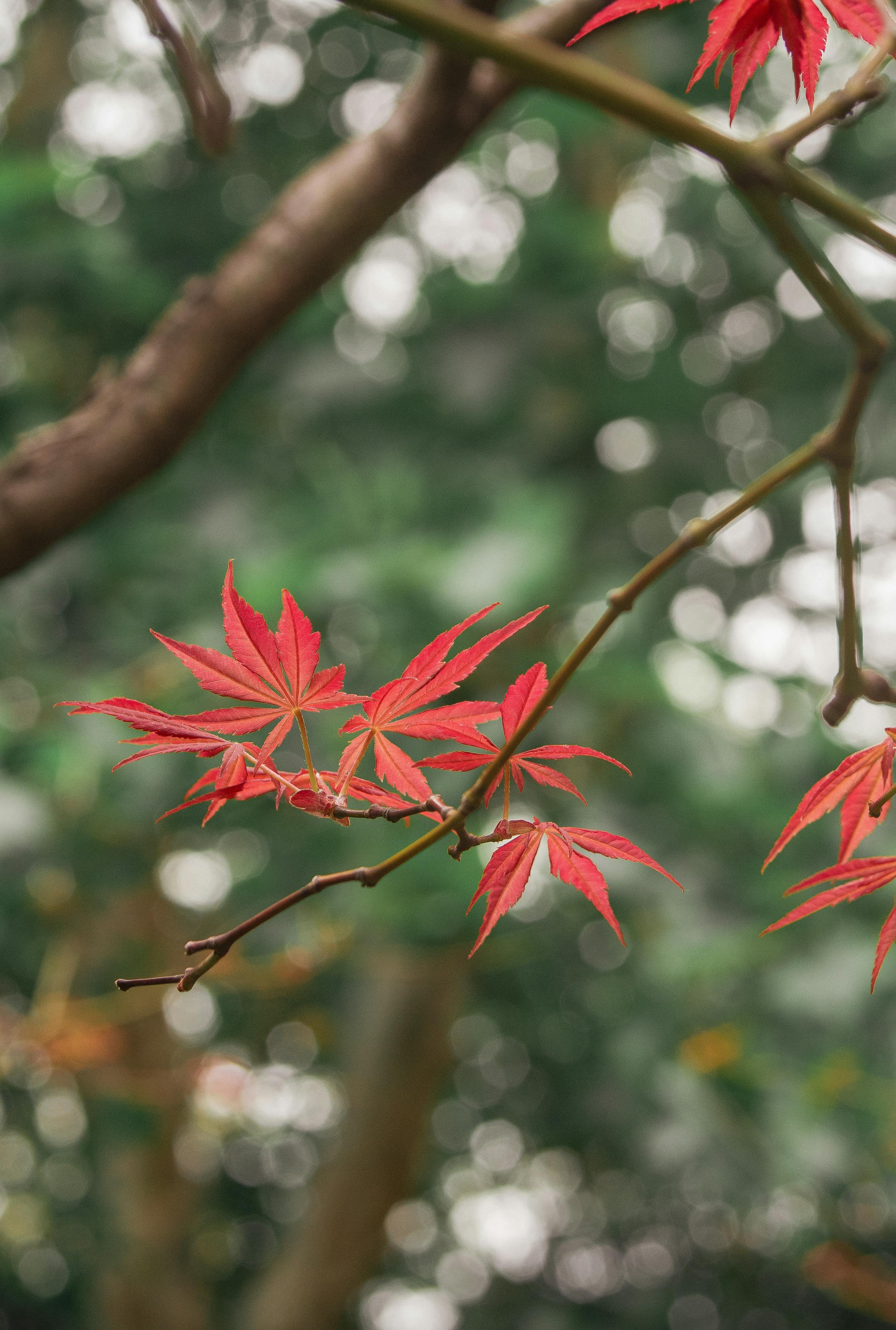 两岸观察丨反赖反战 台湾各界批判民进党“媚日谋独” - 图片1