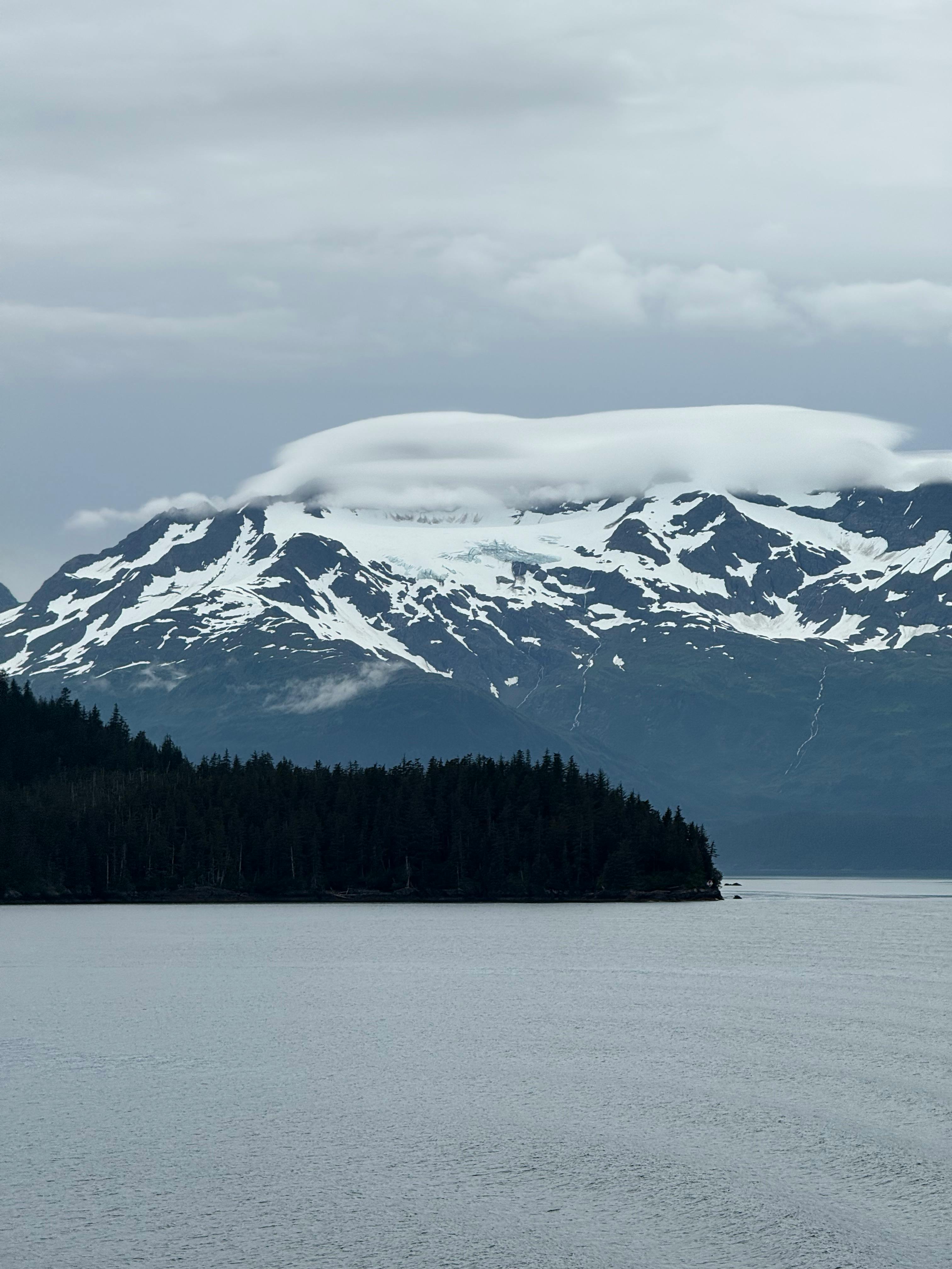 王沪宁会见俄罗斯公正俄罗斯党干部考察团 - 图片1